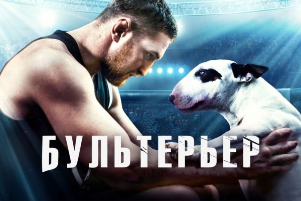 Бультерьер