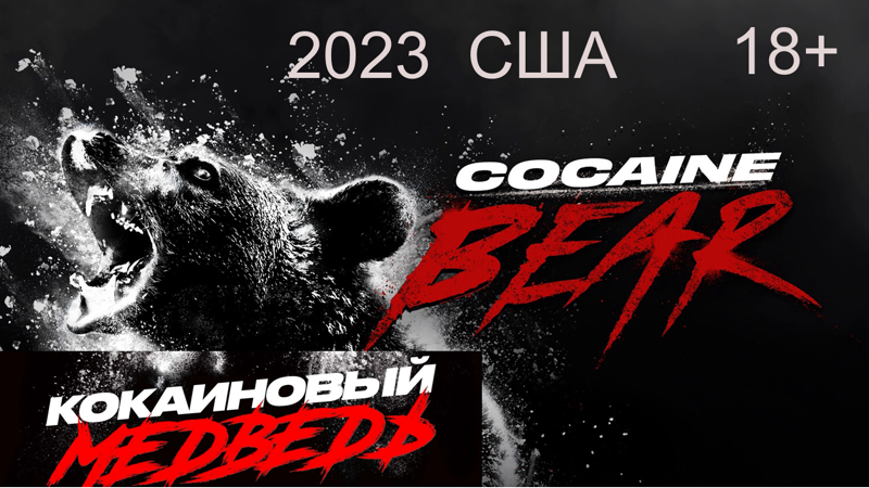 Кокаиновый медведь